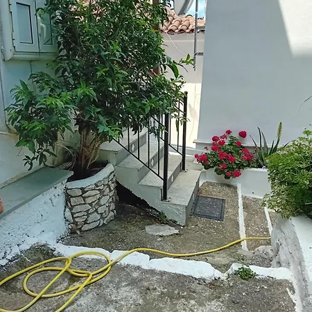 Filippia'S View Apartment Skiathos Town Exterior photo