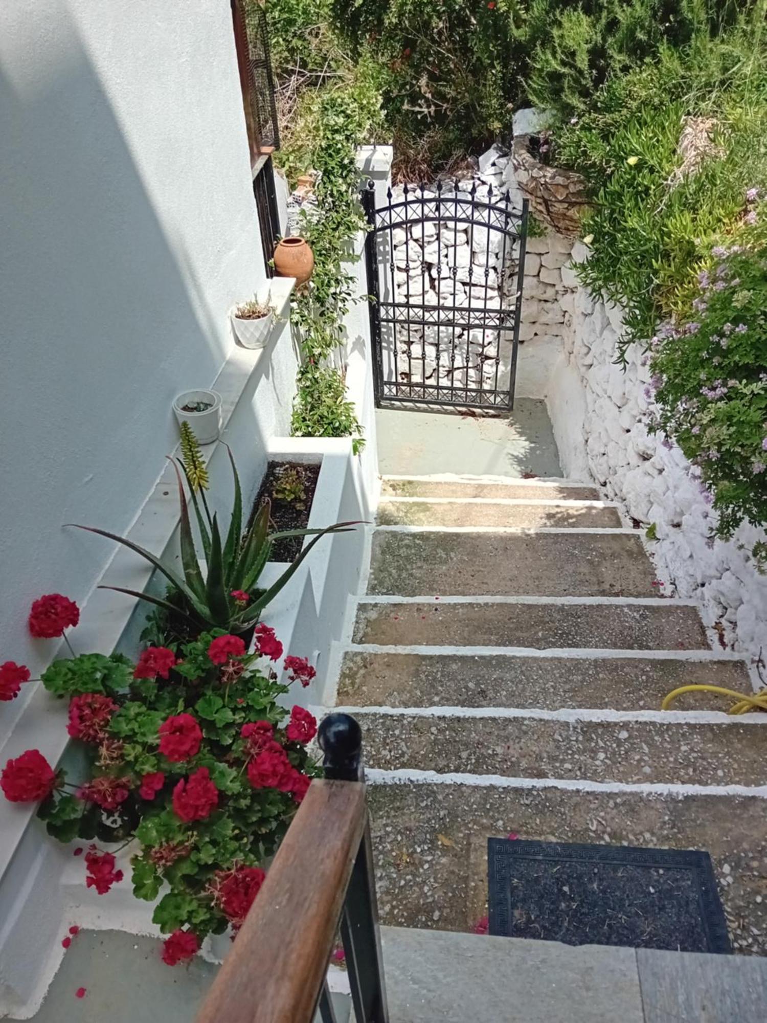 Filippia's View * Skiathos Town