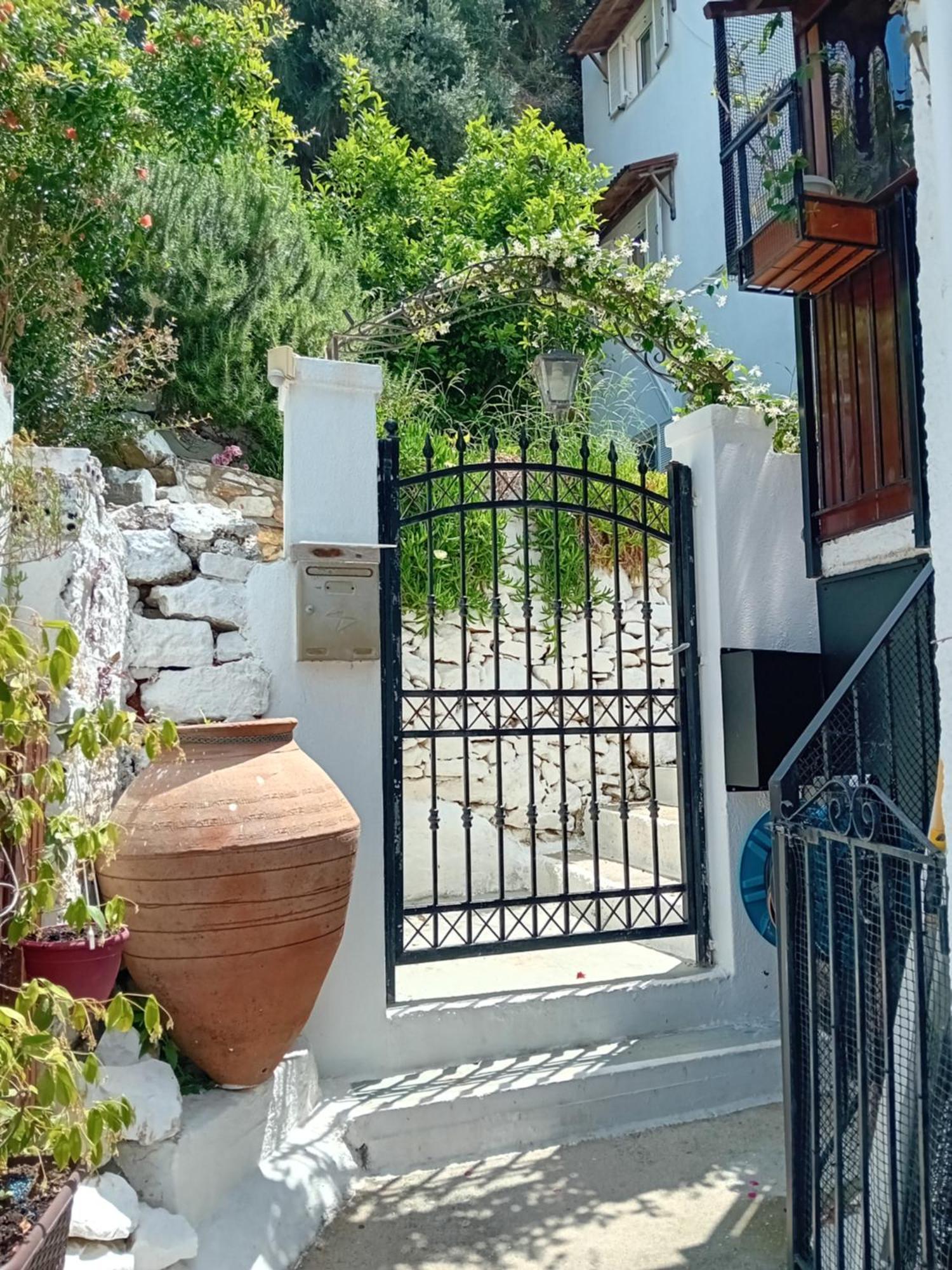 Filippia's View